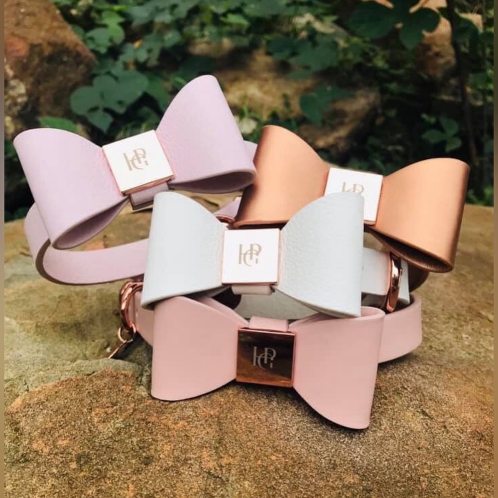 Gold Leather Dog Collar | Gold Hardware and Removable Bow | Small - Picture 15 of 15